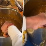 ‘Golgappe Wale Pani Me Nikla Chuha’: Viral Video Allegedly Shows Street Vendor Removing Live Rat From Pani Puri Water Served to Customers