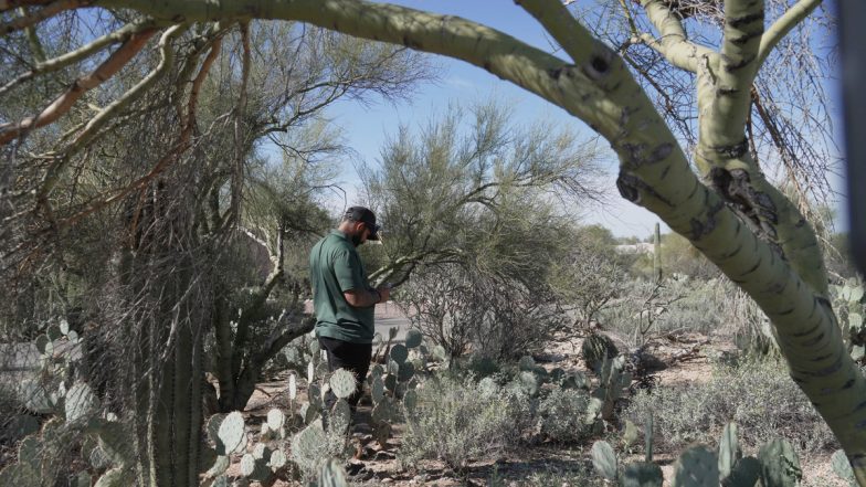 Nancy Guthrie Missing Case: FBI Searches Desert Terrain for Clues in Savannah Guthrie's Mother’s Disappearance