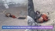 Viral Video of Punch the Monkey: Latest Updates and Zoo Statement