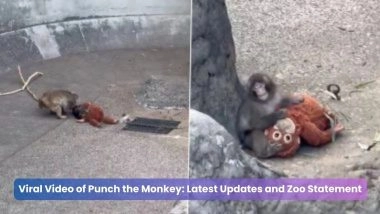 Viral Video of Punch the Monkey: Latest Updates and Zoo Statement