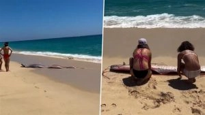social-viral-Rare ‘Doomsday Fish’ Wash Ashore in Mexico as Middle East Tensions Fuel Online Speculation (Watch Video)