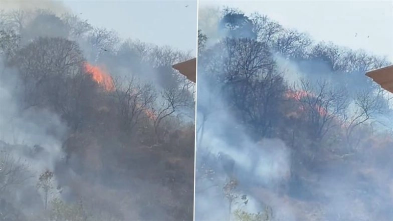 Mumbai Fire: Massive Blaze Erupts on Powai Hills, Residents Report 2 Days of Burning