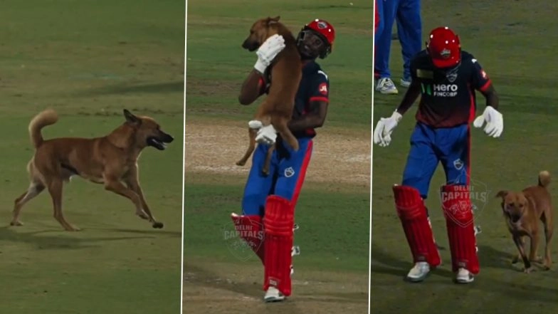 Dog Turns Pitch Invader During Delhi Capitals Practice Match As Abhishek Porel Playfully Guides Animal Out Of Ground (Watch Video)