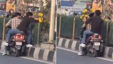 Flower Theft in Dehradun: Men Caught on Camera Stealing Seasonal Flowers Planted for City Beautification on Sahastradhara Road, Video Surfaces