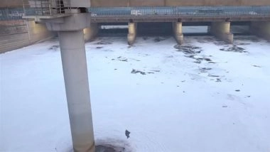 Delhi Pollution: Thick Toxic Foam Seen Floating on Yamuna River at Kalindi Kunj (Watch Video)