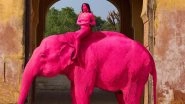 ‘Pink’ Elephant Photoshoot in Jaipur by Russian Artist Julia Buruleva Triggers Outrage, Animal Died a Month Ago ‘Pink’ Elephant Photoshoot in Jaipur by Russian Artist Julia Buruleva Triggers Outrage, Animal Died a Month Ago