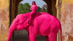 ‘Pink’ Elephant Photoshoot in Jaipur by Russian Artist Julia Buruleva Triggers Outrage, Animal Died a Month Ago