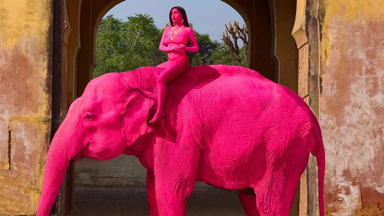 &lsquo;Pink&rsquo; Elephant Photoshoot in Jaipur by Russian Artist Julia Buruleva Triggers Outrage, Animal Died a Month Ago