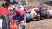 Bee Attack Chaos in MP: LPG Queue Turns Into Panic Scene as Swarm Strikes Customers in Umaria, Video Goes Viral