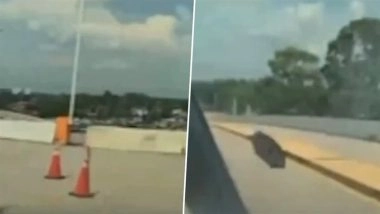 ‘Full Self-Driving’ or Full Risk? Houston Mother Sues Tesla After Cybertruck Nearly Drives Her Off Overpass (Watch Video)