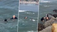 California: Hero Coach Dives Into Danger, Saves Father-Daughter Duo From Deadly Rip Current in Oceanside; Video Goes Viral