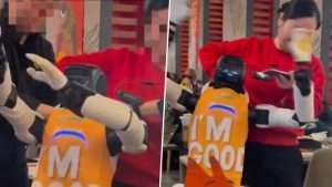 social-viral-Haidilao Hotpot Chaos: Disney-Themed Robot Malfunctions in California Restaurant, Smashes Plates; Video Goes Viral