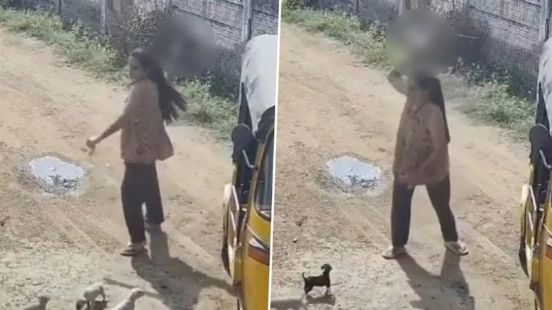 Animal Cruelty in Madurai: 2 Puppies Die After Woman Slams Them Against Wall in Tamil Nadu, Disturbing Video Surfaces