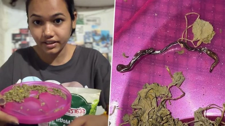 Dried Snake in Spice Packet? Baby Snake Found in Packaged Kasuri Methi From Starzing Spice, Company Responds (Watch Video)
