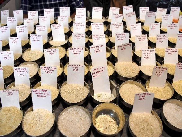 Business News | IREF Urges Rice Exporters to Exercise Caution Amid West Asia Crisis