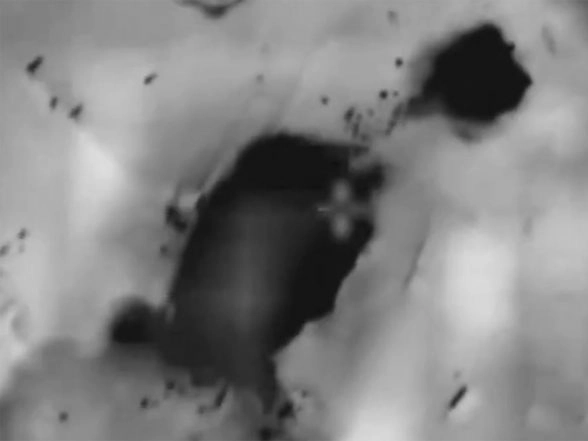 World News | 31 Dead, 149 Injured in Strikes by Israel: Lebanon Health Ministry