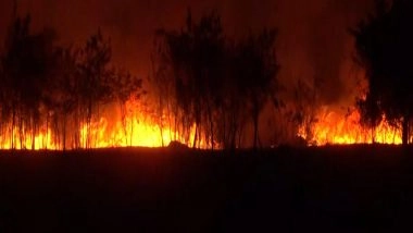 India News | Fire Breaks out in Grassy Area of Indore Airport; No Effect on Flight Operations