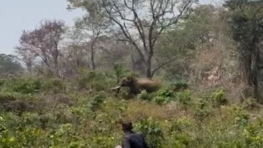 India News | Operation Gajamukti: Another Wild Elephant Released from Aralam Farm in Kannur District