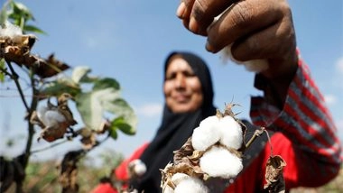World News | Pakistan's Cotton Sector Under Pressure as Taxes and Policy Failures Push Farmers Toward Alternative Crops