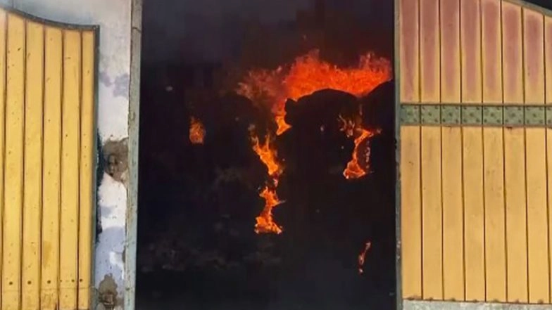 India News | Kerala: Fire Breaks out at Private Factory in Thoothukudi