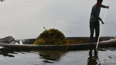 India News | J-K: WMDA Launches Dredging, Cleanliness Drive at Lake Manasbal to Restore Ecological Health in Ganderbal