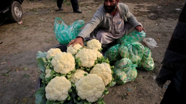 World News | Pakistan's Outdated Mandi System Stifles Agricultural Innovation