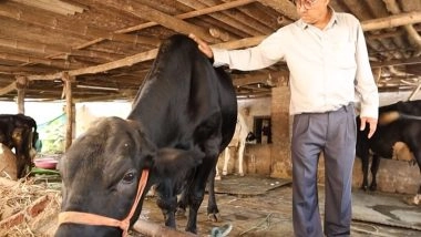 India News | Gujarat Farmer Drives Dairy Prosperity Through Scientific Breeding