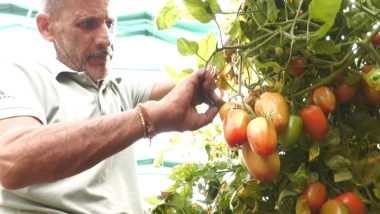 India News | J-K: Farmer in Udhampur Transforms Livelihood Through 95% Govt Subsidy Under HADP Initiative