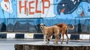 World News | Animal Rights Groups Protest in Dhaka, Urge Bangladesh Govt to Protect Stray Dogs