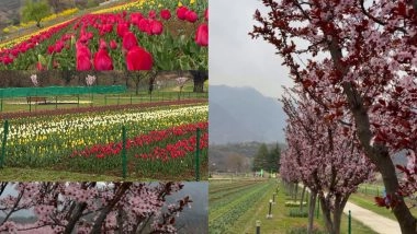 India News | J-K CM Shares Glimpses of 'Asia's Largest Tulip Garden in Srinagar'