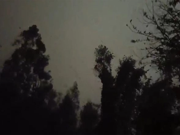 India News | Sikkim: IMD Warns of Heavy Rainfall, Thunderstorms Till March 17