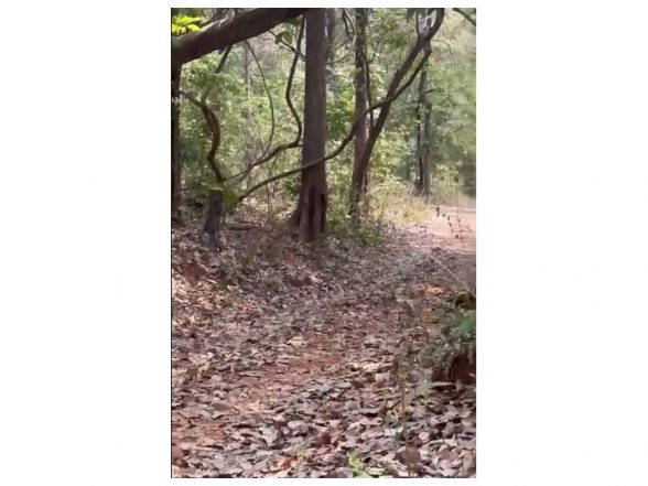 India News | Security Forces Recover 4 IEDs During Anti-Naxal Operation in Chhattisgarh's Kanker