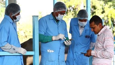 India News |  Gujarat Leads Foot and Mouth Disease Vaccination Drive