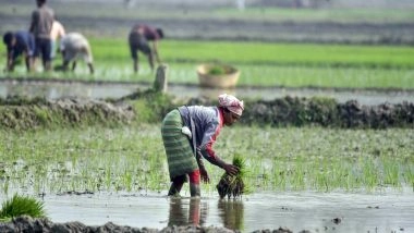 India News | Centre Identifies Degraded Forest Land Across States for Restoration Under Green Credit Programme