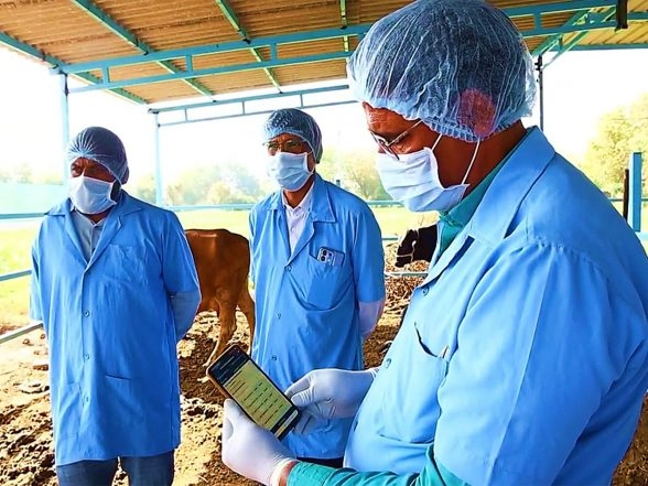 India News | Gujarat Sets Sights on Eradicating Foot and Mouth Disease; Massive Vaccination Drive Underway