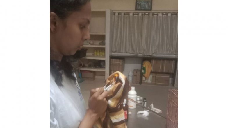 India News | Veterinarian Dies Due to Hippopotamus Attack in Shivamogga; Minister Eshwar Khandre Expresses Grief over the Incident