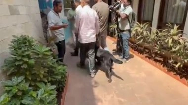 India News | Mumbai Press Club Gets Bomb Threat Mail; Security Heightened