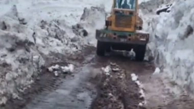 India News | J-K: Twin Avalanches Hit Bandipora-Gurez Road; BRO Launches Clearance Operations to Restore Connectivity