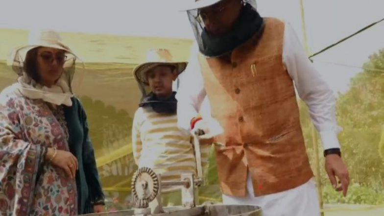 India News | Uttarakhand Has Immense Potential for Beekeeping: Chief Minister Dhami