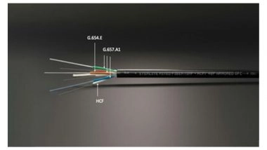 Business News | STL Redefines Optical Connectivity with India's First Hollow Core Fibre Cable for Data Centre Networks