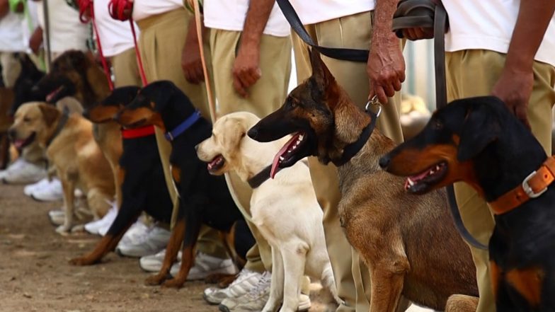 India News | Gujarat Police K9 Unit Becomes More Lethal: 'Super Dogs' Against Terror, Drugs