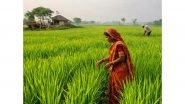 Business News | Compliance Kart Pvt. Ltd. Empanelled as Industry Partner for Uttar Pradesh's State-Level Carbon Credit Programme in Agriculture