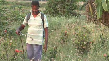 India News | Tamil Nadu: Flower Farmers in Srirangam Seek Research Centre and Perfume Unit Ahead of Elections