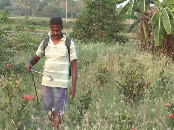 India News | Tamil Nadu: Flower Farmers in Srirangam Seek Research Centre and Perfume Unit Ahead of Elections