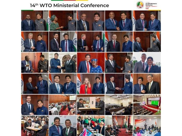 Business News | India's Stance at WTO MC14 Reflected in Ministerial Decisions: Piyush Goyal