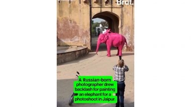 Business News | Spare Human Whims on Wild Animals, Says World Animal Protection