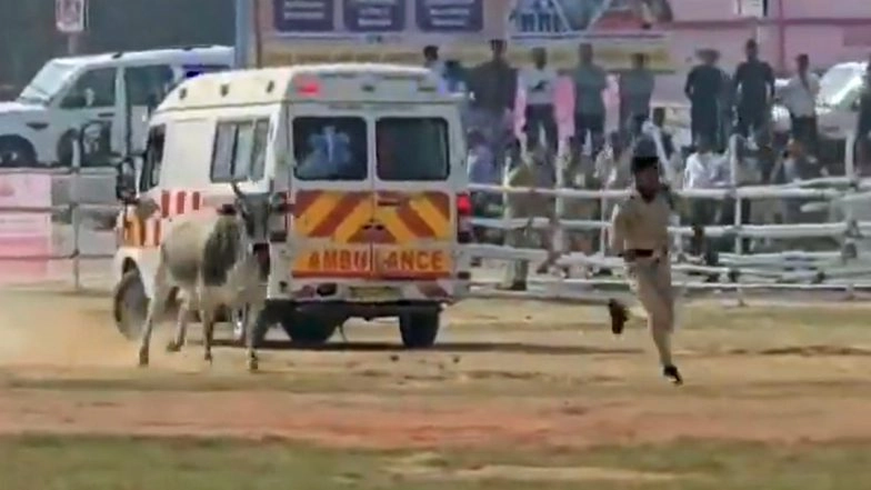 Viral Video from Begusarai: Cops Run to Save Their Lives as Bull Gatecrashes Bihar CM Nitish Kumar’s Helipad