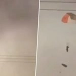 Kuwait Fighter Jet Crash Video: Viral Clip Shows Pilot Ejecting Before Fighter Jet Crashes in Kuwait Amid Iran-Israel War