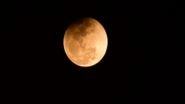 Chandra Grahan 2026: Total Lunar Eclipse Observed in India, Blood Moon Captivates Skies