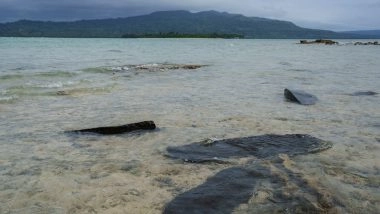 Study Says Millions More Are Exposed to Rising Seas Than Thought